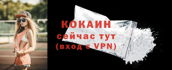 бошки Белокуриха