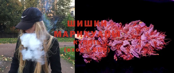 бошки Белокуриха