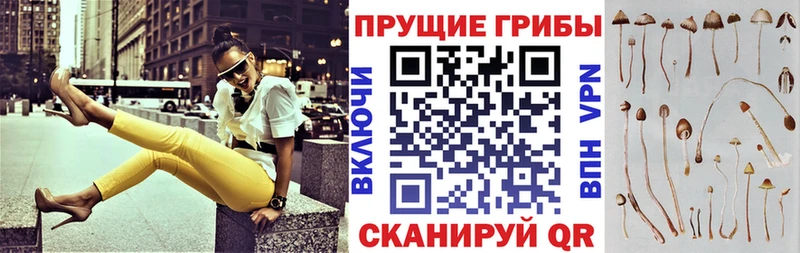 Галлюциногенные грибы мухоморы  Кунгур 